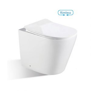 CORTONA Rimless Floor Mounted Pan & Seat + In-wall Cistern + Flush Plate