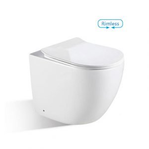 ASCOLI Rimless Floor Mounted Pan & Seat + In-wall Cistern + Flush Plate