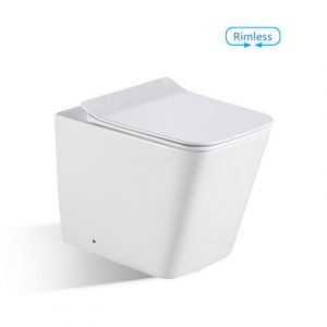 CASERTA Rimless Floor Mounted Pan & Seat + In-wall Cistern + Flush Plate