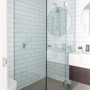 Frameless Shower Screen