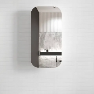 NEWPORT SHAVING CABINET