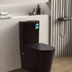 AVIS RIMLESS TOILET MATTE BLACK