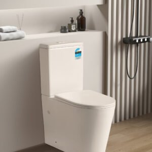 AVIS RIMLESS TOILET MATTE WHITE