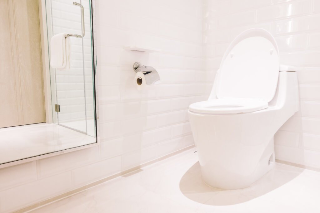 toilet
