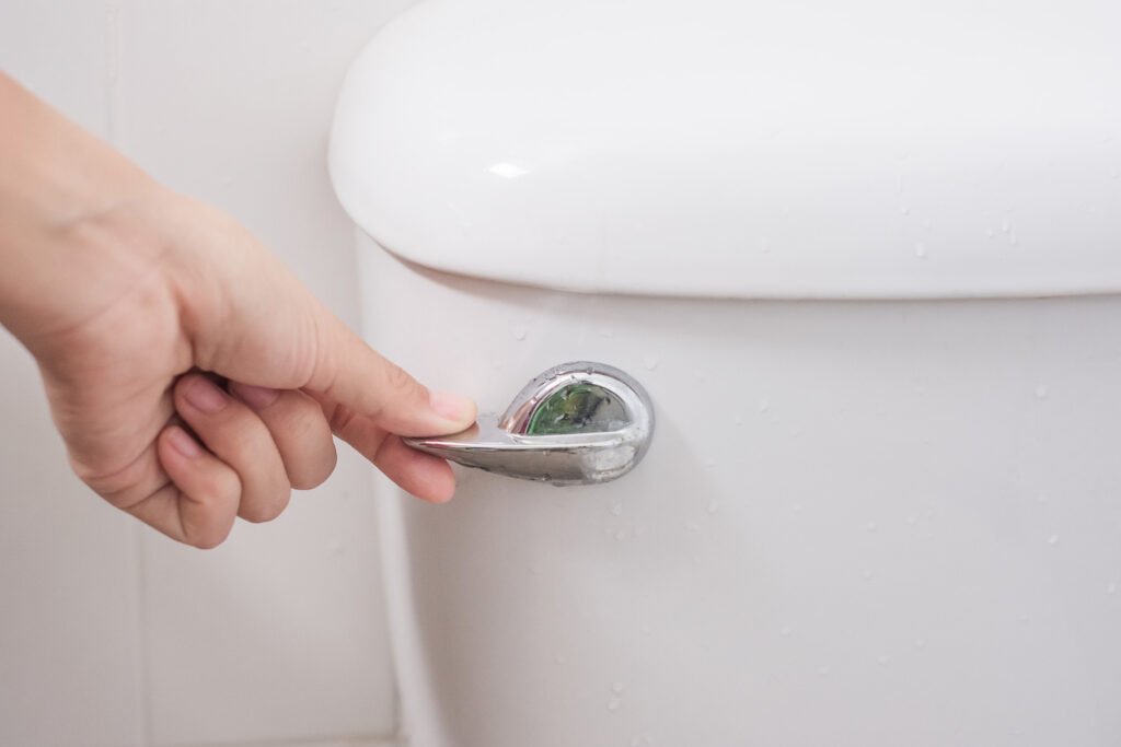 toilet flush