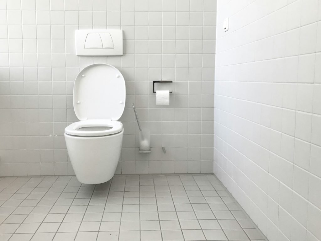 toilet seat